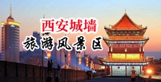 亚洲热色中国陕西-西安城墙旅游风景区