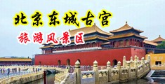 戳女人视频中国北京-东城古宫旅游风景区
